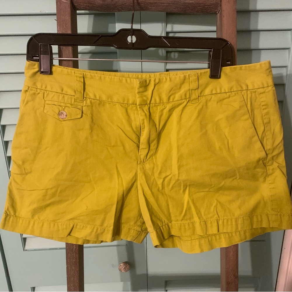 Loft shorts